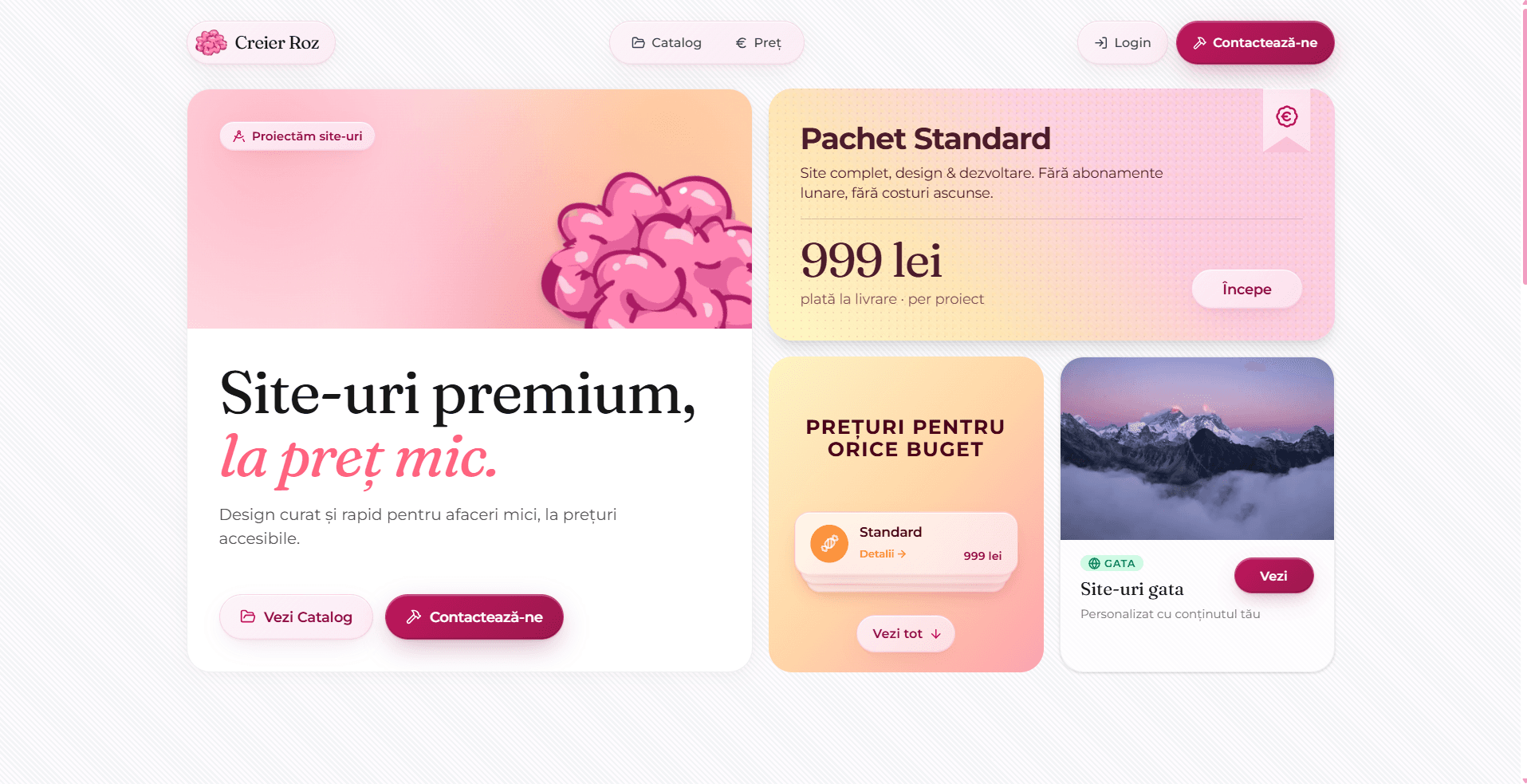 Creier Roz — low-cost web agency, Romania